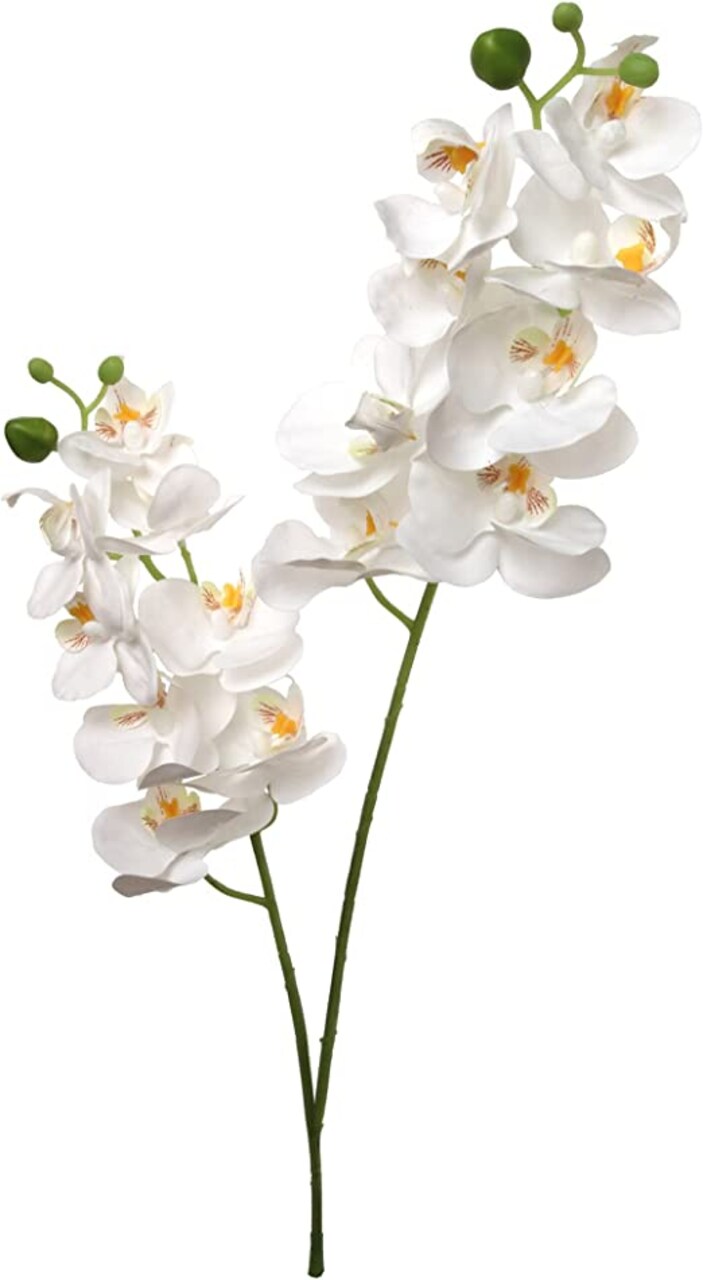 12-Pack: White Phalaenopsis Orchid Spray with 16 Silk Flowers, Floral Home by Artificial Flowers